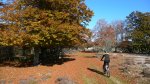 P1080420_redimensionar.JPG