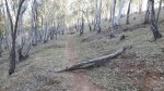 IMG-20171109-WA0004.jpg