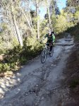 IMG-20171122-WA0036.jpg
