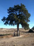IMG-20171230-WA0008.jpg