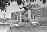 Malaga-spinetailwhip.jpg