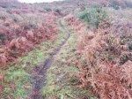 IMG-20180113-WA0009_939x704.jpg