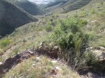 IMG_0310 [1024x768].JPG