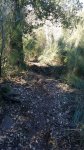 IMG-20180322-WA0027.jpg