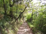 PIC_0009.JPG