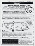 cat97-22[1].jpg