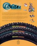 cat98-17[1].jpg