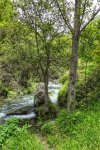 _DSC0410-01.jpeg