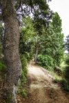 _DSC0625-01.jpeg