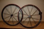 Bici Olmo 114.jpg