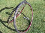 Giant 016.jpg