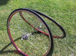 Giant 017.jpg