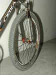DSC01329.JPG