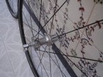 DSC00477.JPG