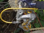 DSC03335.jpg