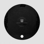 ffwd-disc-dt-350-lenticular-trasera-tubular.jpg