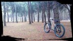 IMG_20180609_201655_432.jpg