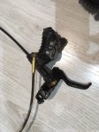 image13.jpeg