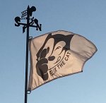 My Bandera.jpg
