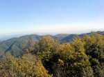 DSC00009b.jpg