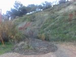 04122007110.jpg
