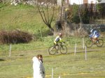 PC090041.JPG