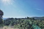 _DSC6449-01.jpeg