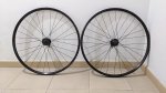 PXL_20220109_190229697.MP.jpg
