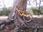 PHOT0029.JPG