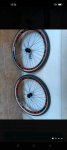 Screenshot_2023-05-10-12-26-11-56_0a63d80358d486dee2089013b0b62a12.jpg
