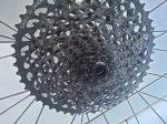 20231013_105606.jpg