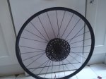20231013_105612.jpg