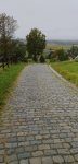IMG_20230921_140934_1.jpg