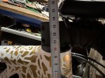 IMG_1219.jpeg