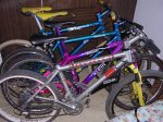 bicis 1 032 (Medium).jpg
