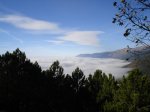 DSC03279.jpg