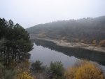 DSC03333.jpg