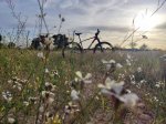 mtb4.jpeg