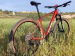 mtb6.jpeg