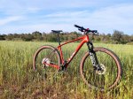 mtb8.jpeg