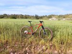mtb9.jpeg