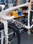 nbd-2026-s-works-sl8-v0-epi8yyrwsp7f1.jpg
