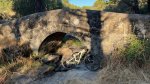 thumbnail_IMG_8087.jpg