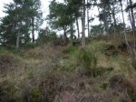 DSCN3492.JPG
