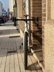 IMG_8255.jpeg