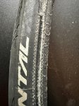 IMG_3208.jpeg