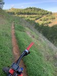 IMG_1112.jpg