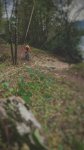 IMG_9880.jpeg