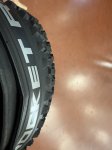IMG_8034.jpeg