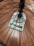 IMG_8105.jpeg